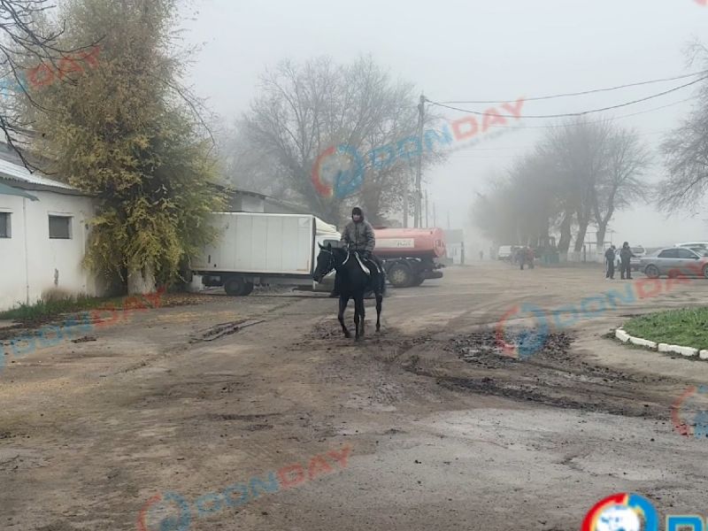 Собственик ростовсокого ипподрома разрешил оставить лошадей, но выдвинул условия.