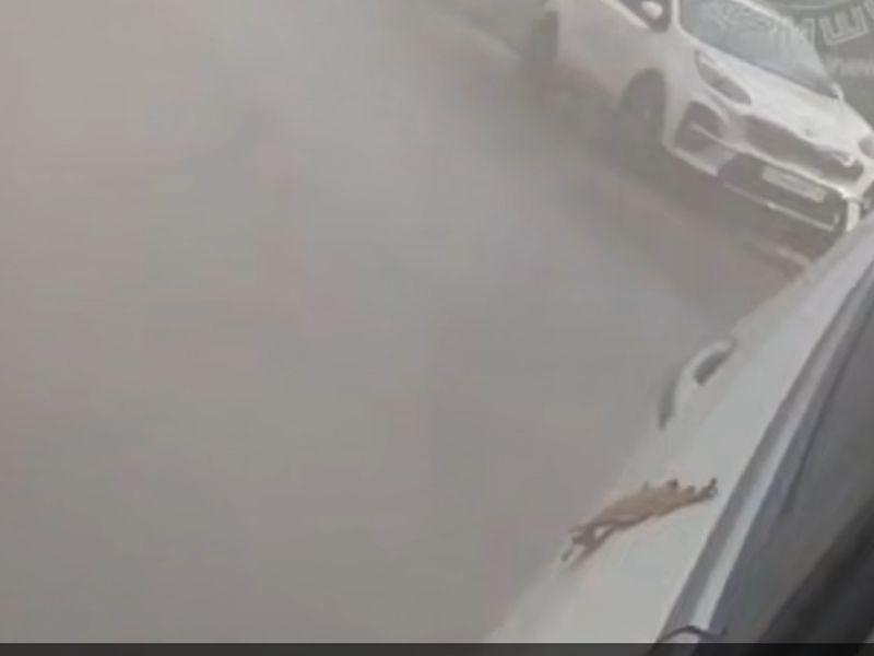 В Ростове на Таганрогской из-под асфальта забил гейзер