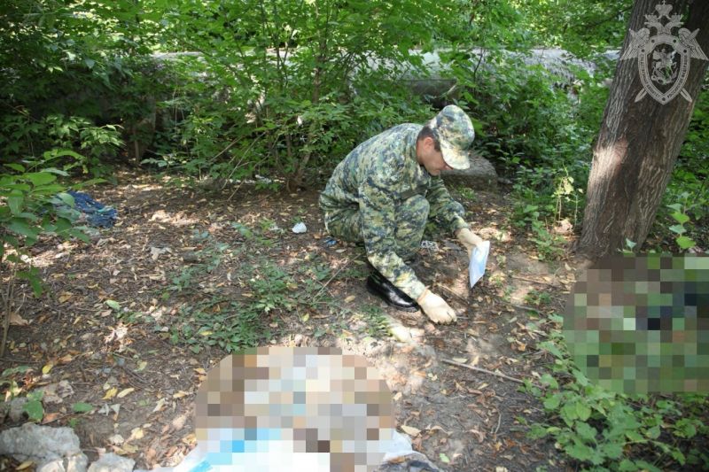 В Ростовской области школьница погибла от отравления газом