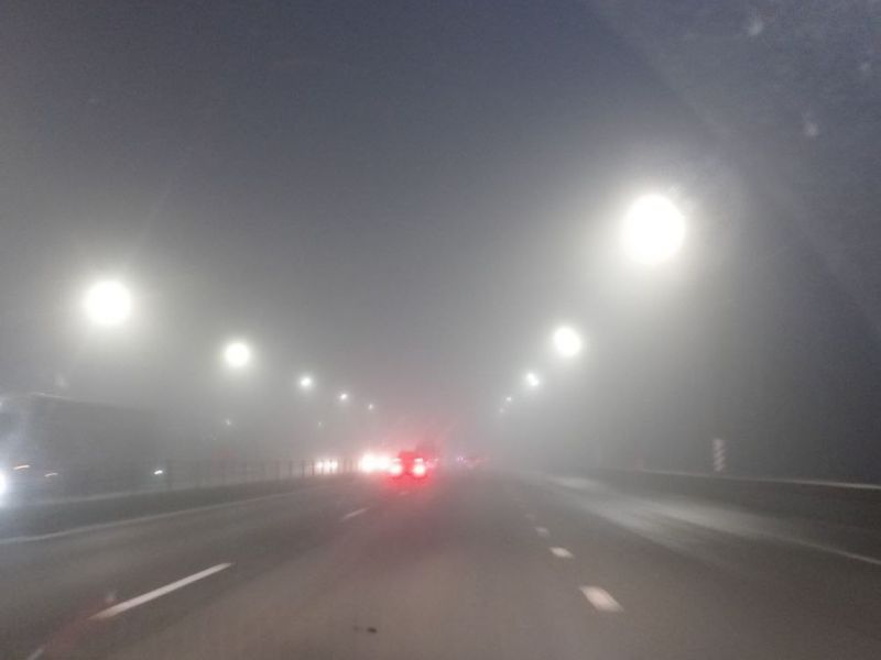 В Ростовской области на сутки продлили желтый уровень погодной опасности из-за тумана