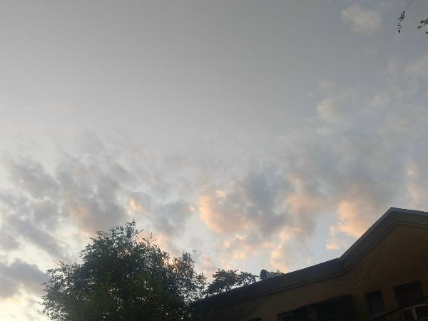 На выходных в Ростове температура опустится до +6 градусов