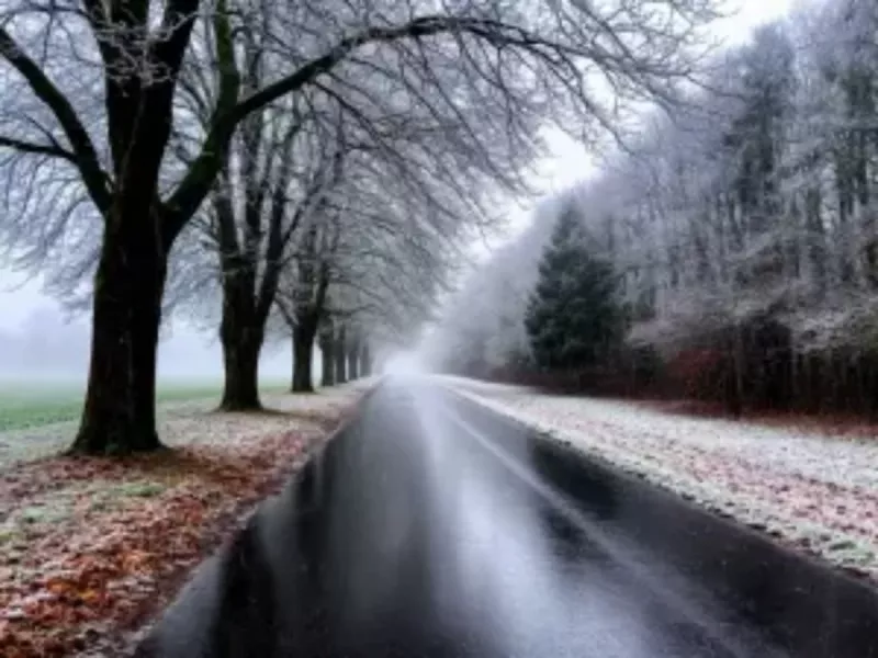 В ноябре в Ростовской области прогнозируют заморозки и дожди