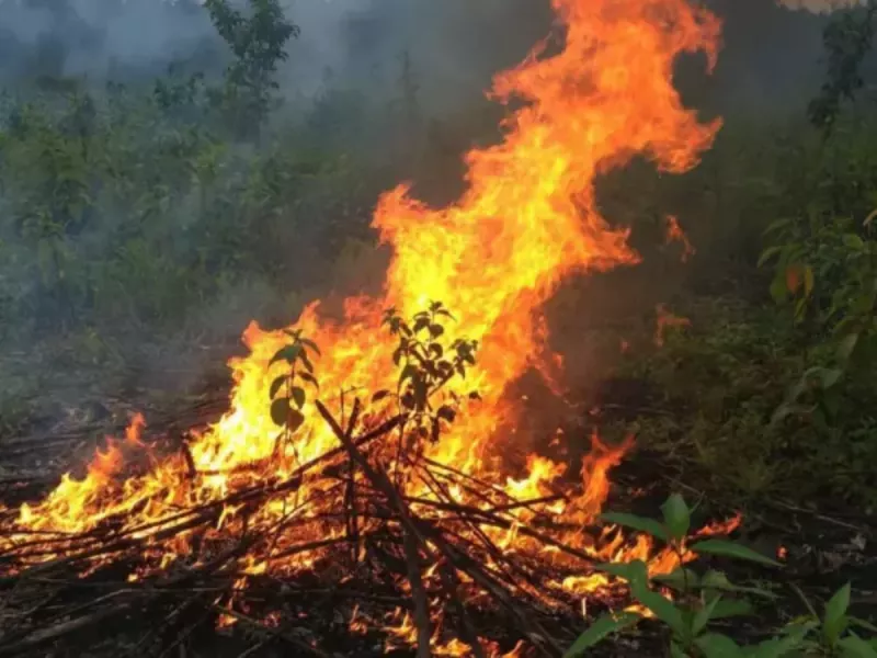 В Ростове в Железнодорожном районе запланированы выжигания сухой растительности