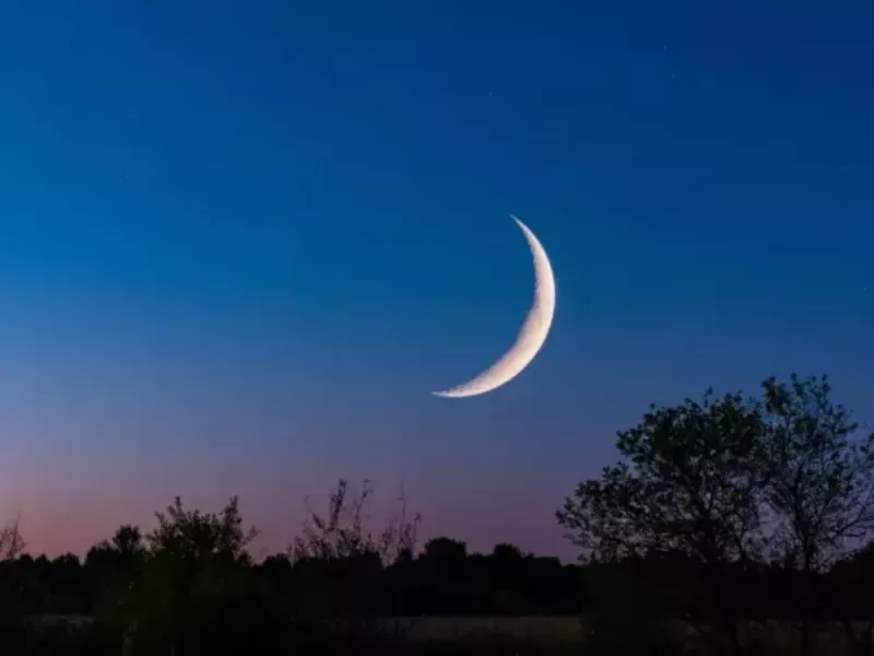 О влиянии новолуния 20 ноября рассказала нумеролог из Ростовской области