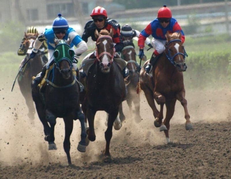 Ростовское Минимущество обратилось с иском в суд на «Ипподром Ростовский»