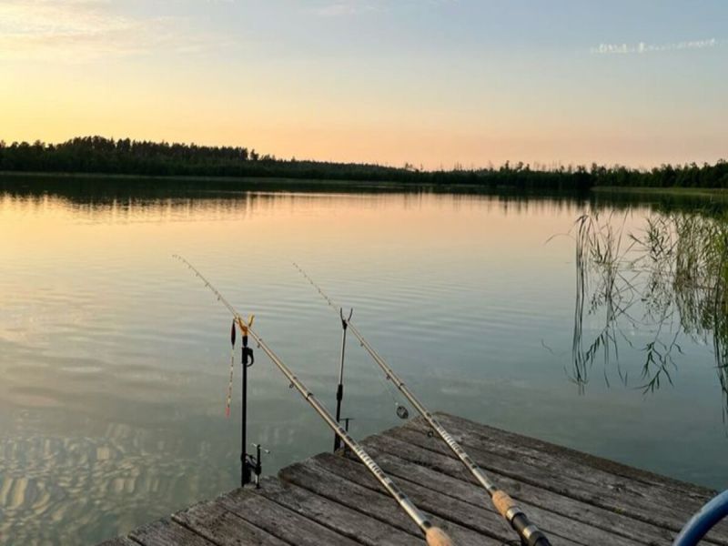 Рыбакам напомнили, какую рыбу нельзя ловить в водоемах Ростовской области