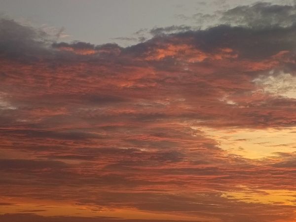 Над Ростовской областью отразили атаку 16 БПЛА