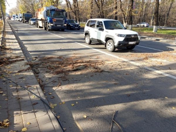 В Ростове убрали дерево, перегородившее дорогу на проспекте Шолохова