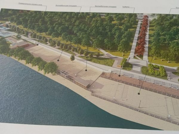 В Ростове более 300 деревьев хотят срубить в парке «Дружба»