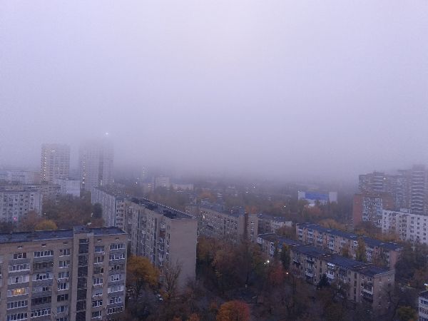 Желтый уровень опасности из-за тумана объявлен в Ростовской области