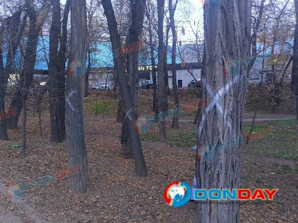 В Ростове улица Киргизская лишится десятка деревьев