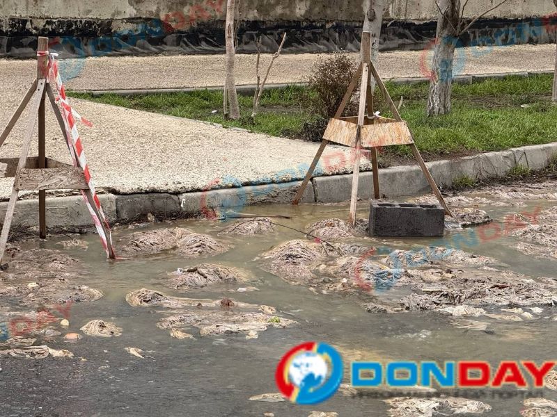 Дикая вонь и потоки канализации уже неделю мешают жить ростовчанам на Заводской