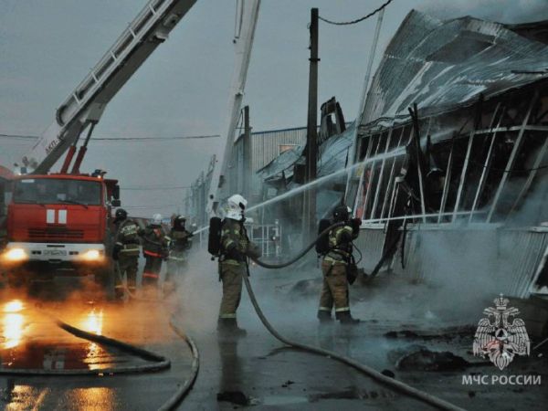 За неделю в Ростовской области потушили более 90 пожаров