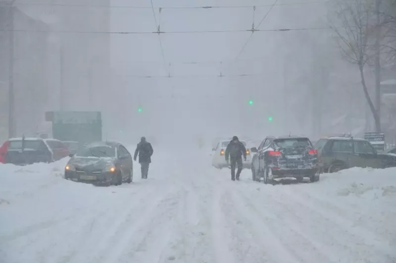 Ростовскую область в конце рабочей неделе накроет метель