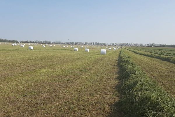 Расширение поддержки агробизнеса на Юге России