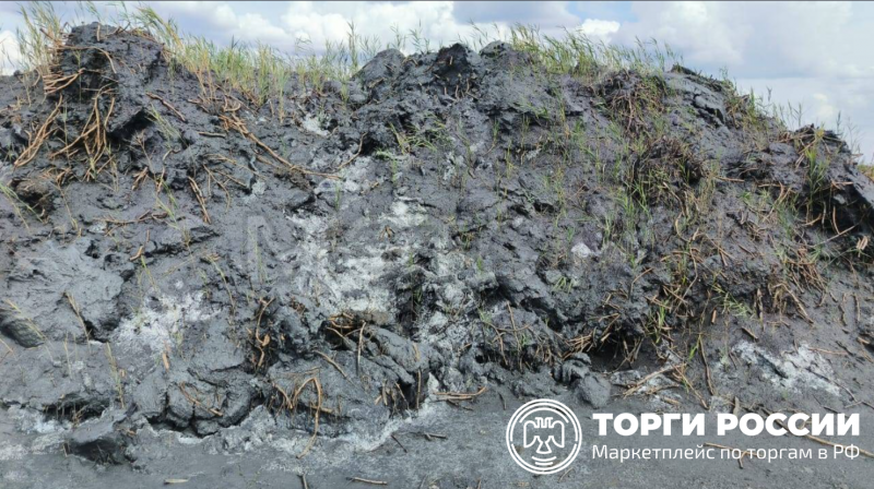 В Ростовской области на торги за 100 млн выставили право аренды земель «Шахты Ростовской»