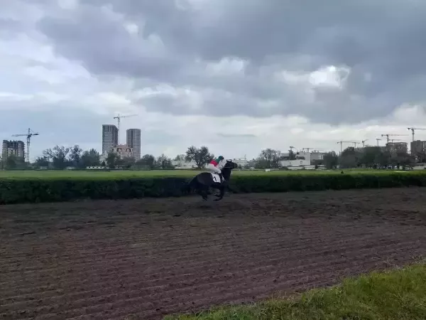 Владелец ростовского ипподрома ужесточил правила аренды конюшен