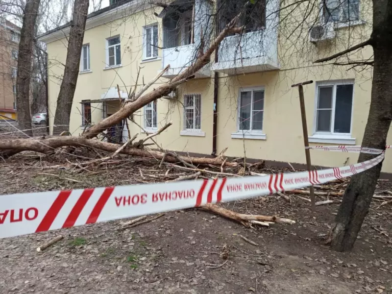 Поврежденный фасад дома куда упало дерево на Киргизской в Ростове отремонтирует УК