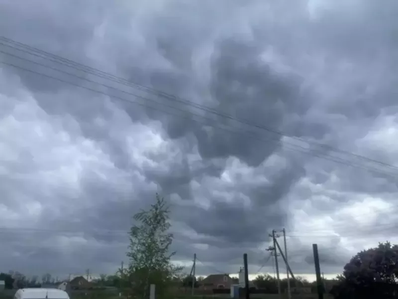 Минобороны РФ: Пять беспилотников уничтожили над Ростовской областью