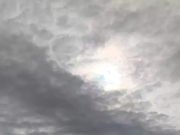 Два беспилотника уничтожили над Ростовской областью