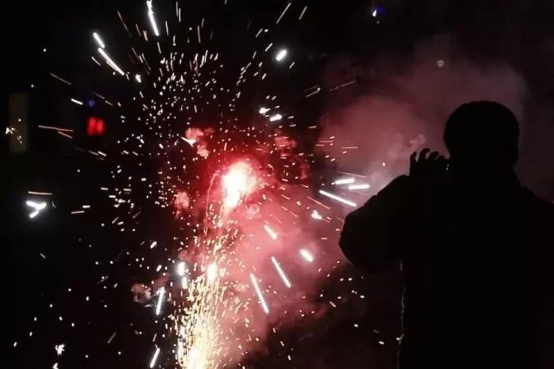 На Дону ограничения на использования пиротехники действует до особого распоряжения