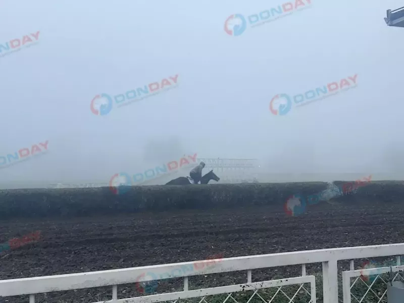 Урбанист предложил оптимальное место в Ростове для ипподрома