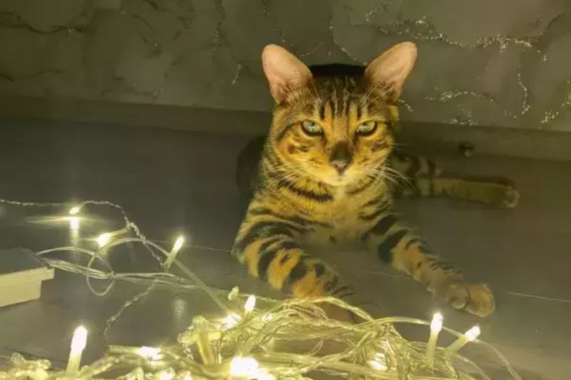 Водителей Ростовской области предупреждают о снегопаде и гололёде