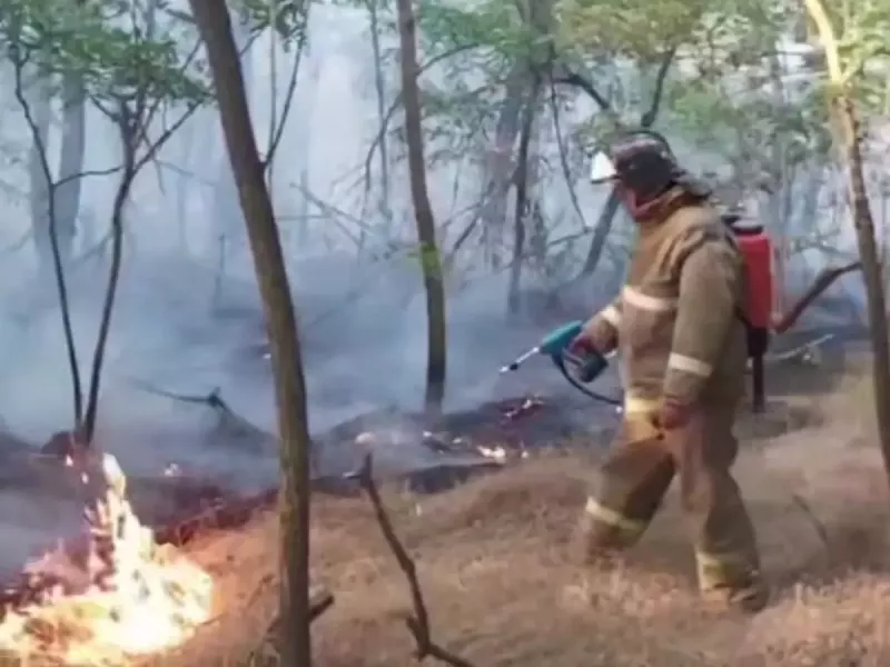 В Ростовской области ущерб от ландшафтных пожаров превысил 20 миллионов рублей