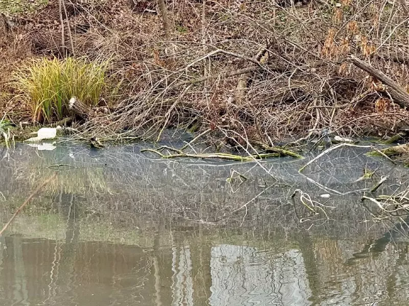 Жители Красного Сулина зафиксировали сброс канализационных стоков в реку