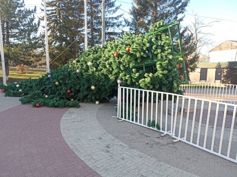 Из-за непогоды в Ростовской области начали падать новогодние елки