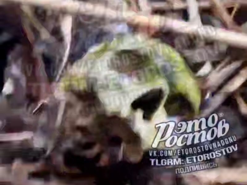 В Ростове на берегу Северного водохранилища нашли останки человека