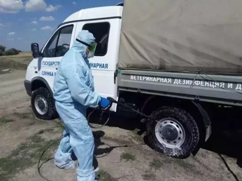 В еще одном районе Ростовской области сняли карантин по бешенству