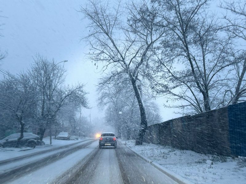 Госавтоинспекция Ростовской области сообщила об изменениях в графике работы МРЭО