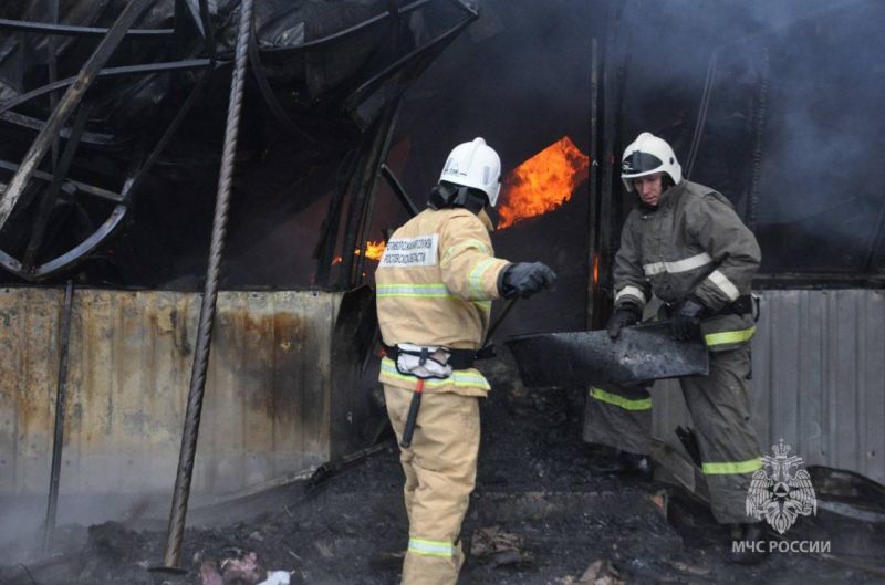 На Дону в 2025 году снизилось количество погибших при пожарах на 28%