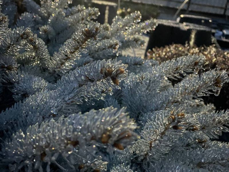 Ростовские коммунальщики перешли в режим готовности из-за надвигающейся непогоды