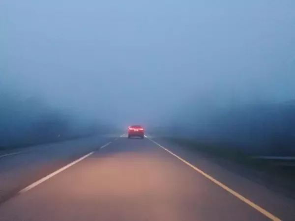 В Ростовской области водителей предупредили об ухудшении видимости на дороге из‑за тумана