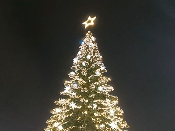 Более пяти тысяч мероприятий состоится на новогодних каникулах в Ростовской области