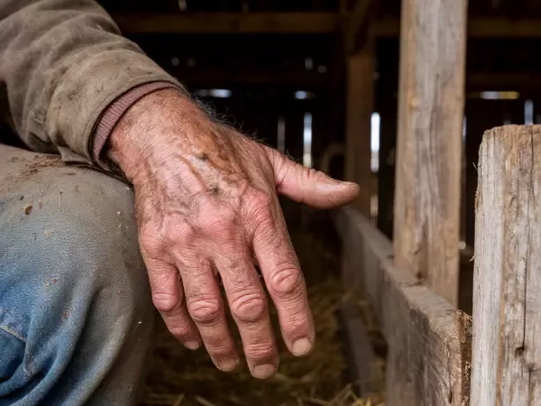 Трупы пенсионера и его жены нашли в Ростовской области