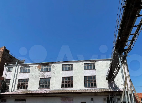 Ростовская компания «Юг Руси» выставила на продажу три маслозавода