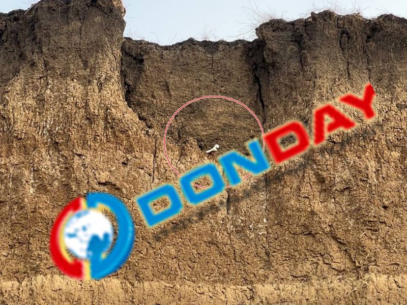 Останки со старого кладбища в Азовском районе смывает в Таганрогский залив