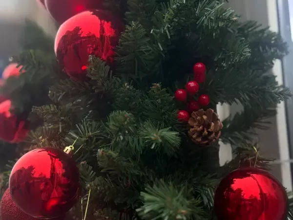 В Ростове жители планируют потратить около 5 тысяч на новогодние украшения