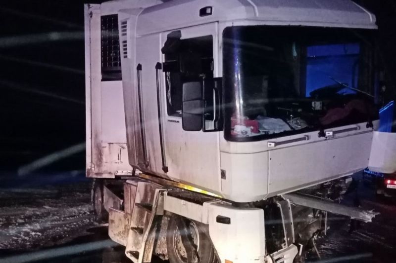 В Ростовской области водитель грузовика умер, врезавшись в дерево