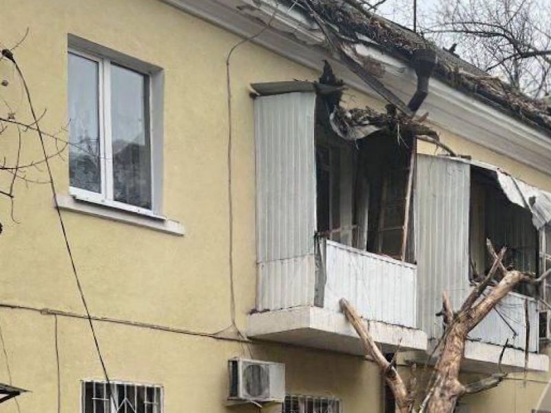 В Ростове-на-Дону дерево рухнуло на жилой дом из-за штормового ветра