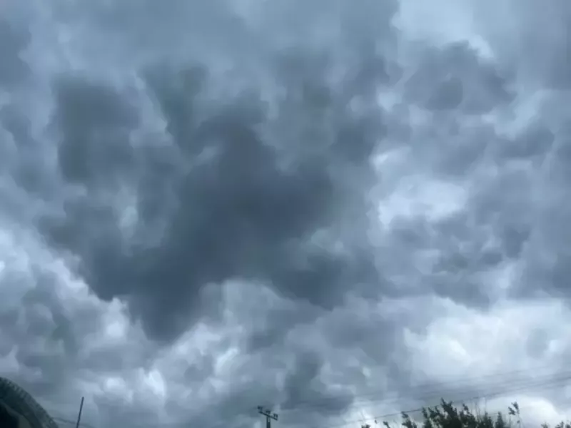 В Ростовской области уничтожен один беспилотник 14 декабря