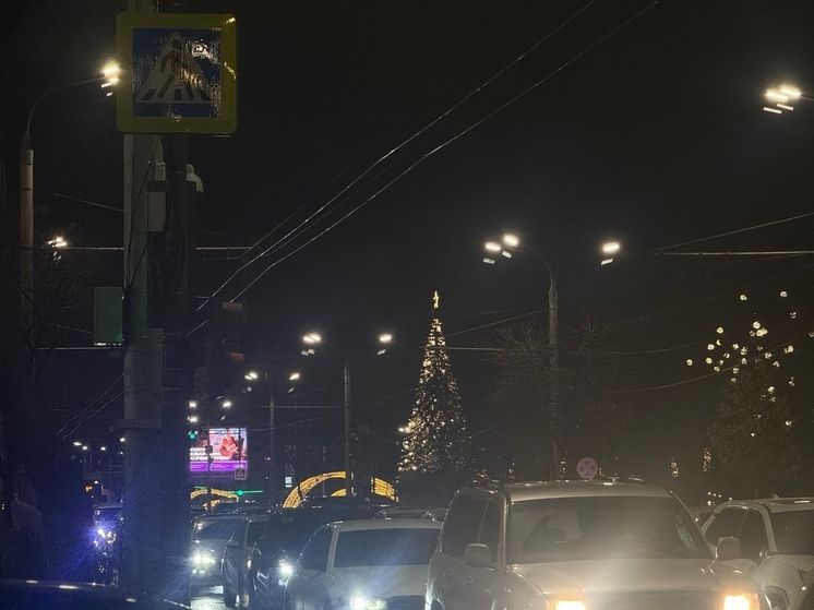 В Ростове-на-Дону отказались от торжественного открытия главной елки