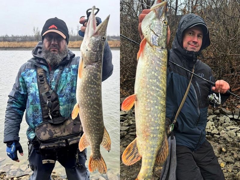 Рыболовы из Новочеркасска выловили двух крупных щук