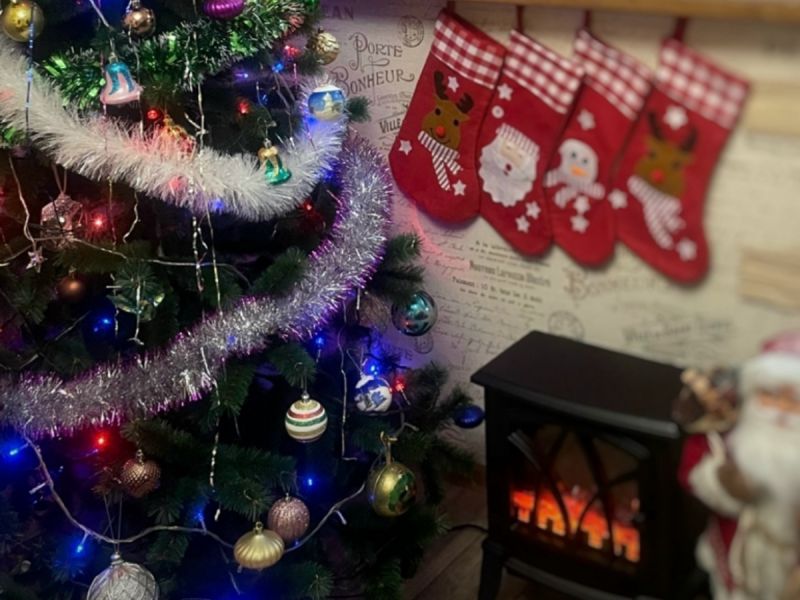 Врач из Ростовской области рассказала, как новогодние деревья влияют на здоровье