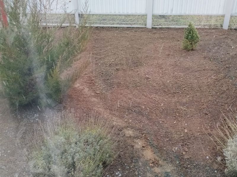 Первый снег выпал в южной части Ростовской области в начале декабря