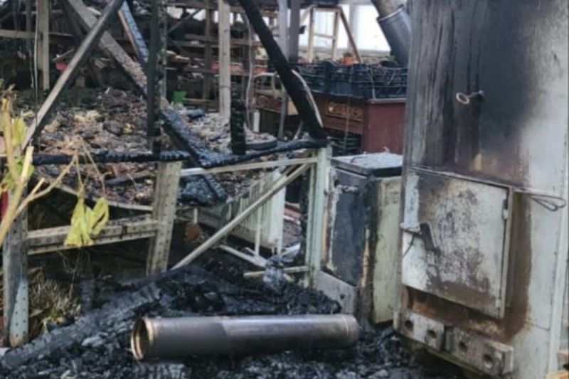 В Батайске 54‑летний мужчина скончался от ожогов при попытке потушить пожар в теплице