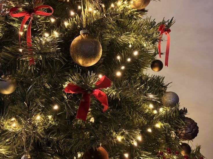 Электрик из Ростовской области дал рекомендации по выбору гирлянды для новогодней елки